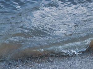 Вода на пляжах Азова вошла в список самых грязных в регионе
