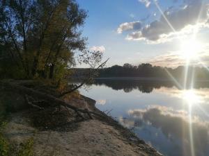 В Азовском районе мужчина погиб в машине, упав в водоем