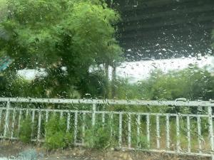 В Азове на рабочей неделе будет тепло и дождливо