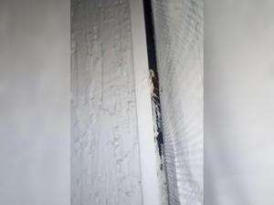 Полчища тараканов заполонили жилой дом в Азове