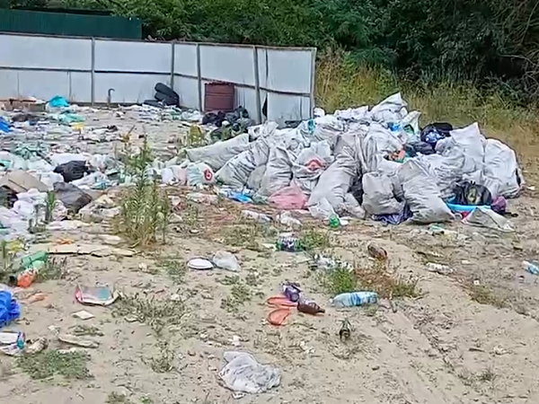 Жители Азова пожаловались на свалку на городском пляже