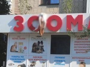 Женщина, которая выпала из окна в Азове, умерла в больнице