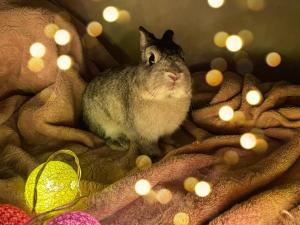 Жителей Азова 13 ноября  ожидает отключение света