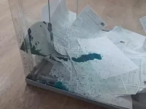 Житель Азовского района вылил зеленку в урну с бюллетенями