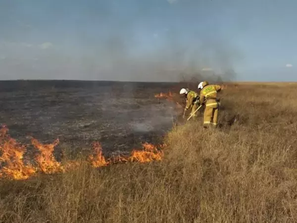 В Ростовской области объявили предупреждение о чрезвычайной пожароопасности