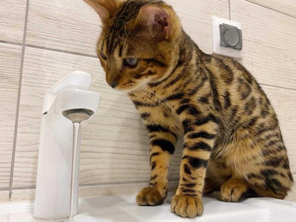 В Азове сотни жителей останутся без горячей воды с 27 мая