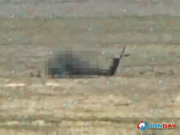 В Азовском районе фермеры нашли в поле брошенный вертолет