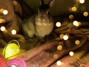 Тысячи жителей Азова остались без света 8 июля из-за аварии на сети