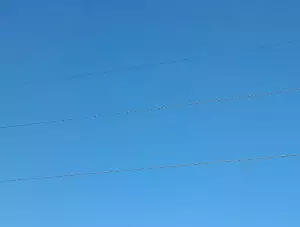 Жителей Азовского района напугал звук взрыва 14 июля