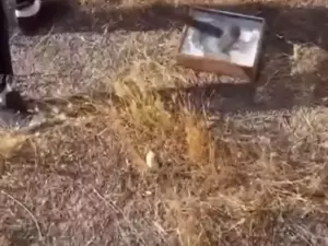 В Азовском районе подростков подозревают в осквернении икон