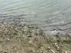 В Азовском районе уровень воды в Дону снизился до критических отметок