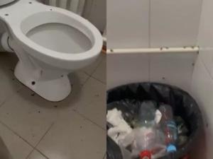 В Азове терапевтическое отделение ЦГБ кишит тараканами