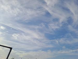 Силы ПВО сбили 18 беспилотников над Ростовской областью