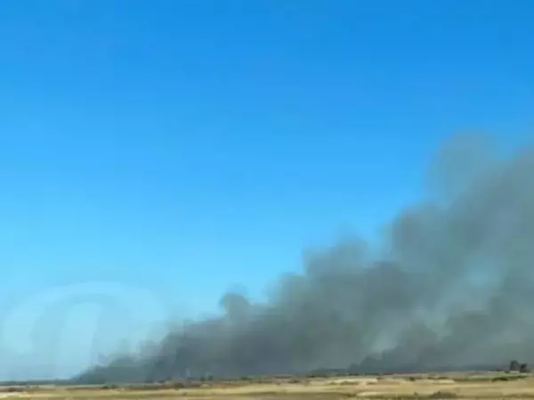На трассе Ростов-Азов горит поле с сухой травой