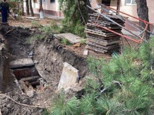 В Азове сотрудники тепловых сетей повредили многолетние сосны на Макаровского