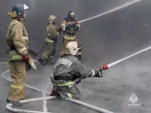 В 2024 году в 2024 году произошло 11 тысяч пожаров в Ростовской области