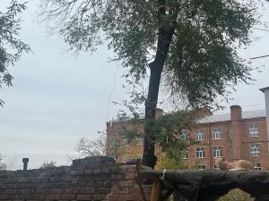 На предстоящих выходных в Азове похолодает до -7 градусов