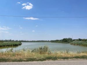 В Азовском море на треть увеличился показатель добычи рыбы