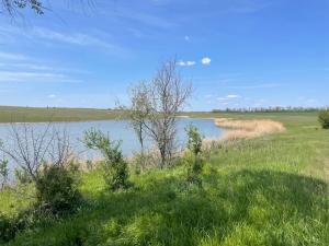 На новой короткой рабочей неделе в Азове потеплеет до +24 градусов