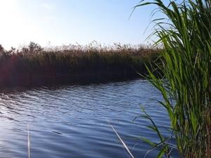 Уровень воды в устье реки Дон сильно упал из-за ветра