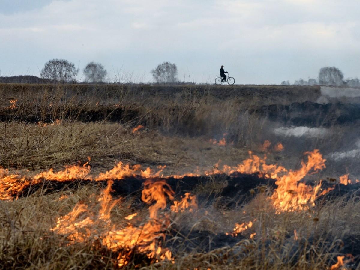 Жителей Азовского района предупредили о чрезвычайной пожароопасности