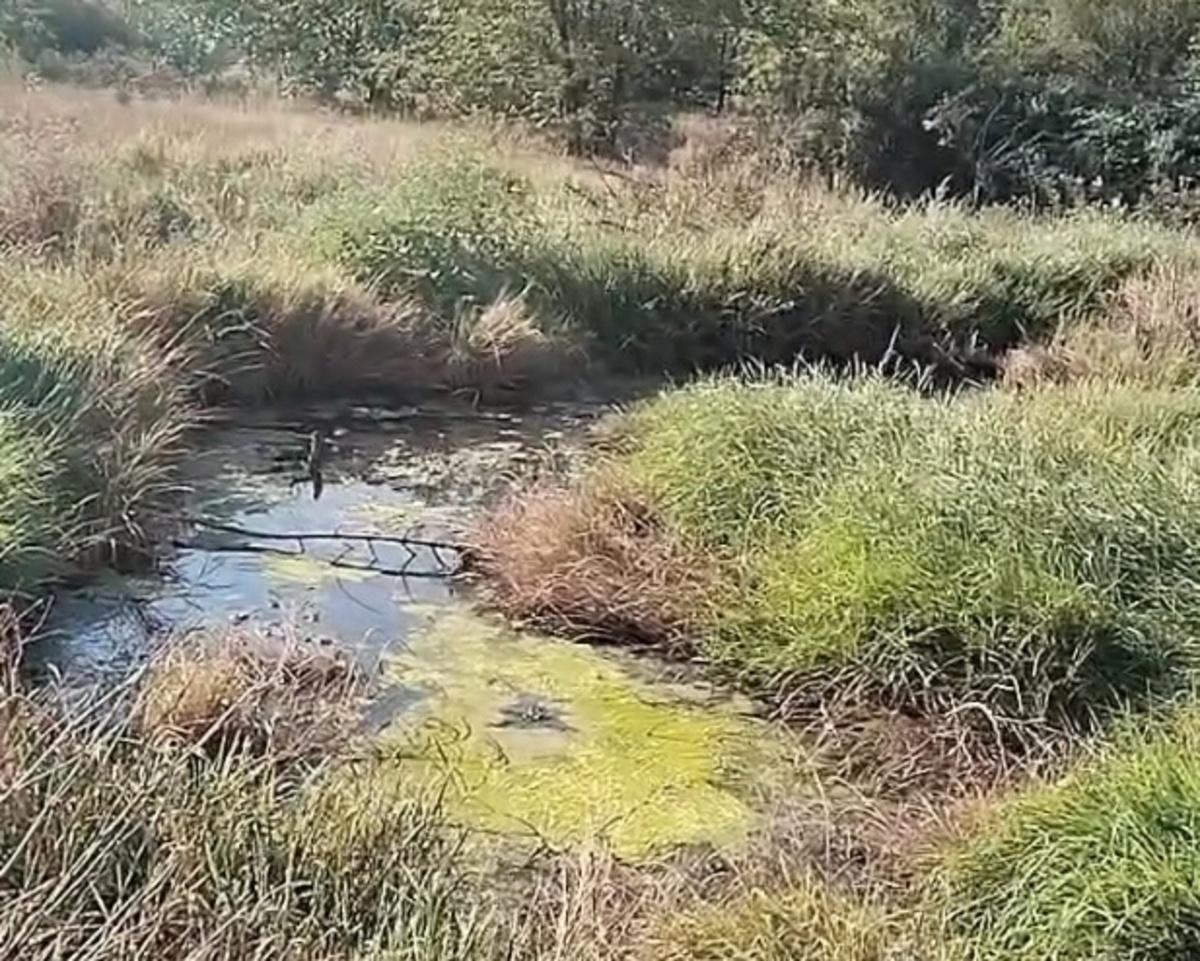 На владельца автомойки в Азове завели административное дело за слив нечистот