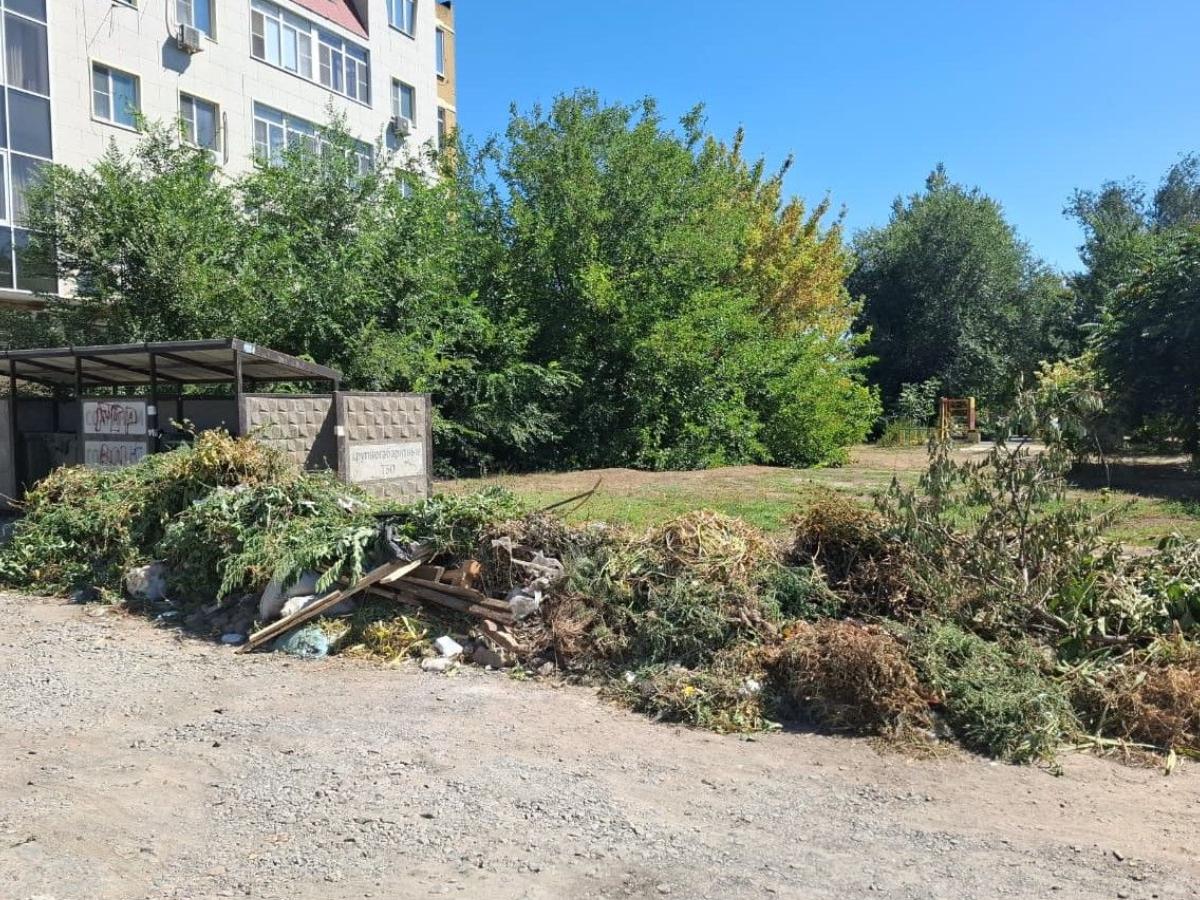 С сентября жителей Азова будут штрафовать за выброс листвы и веток в мусорные баки