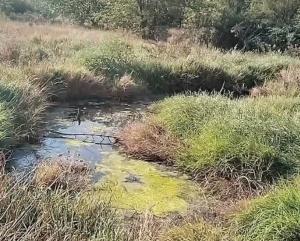 На владельца автомойки в Азове завели административное дело за слив нечистот