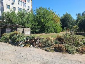 С сентября жителей Азова будут штрафовать за выброс листвы и веток в мусорные баки