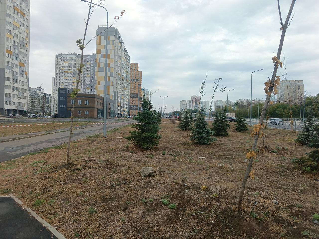 13 беспилотников сбили за ночь над Ростовской областью