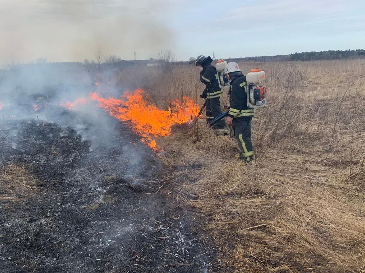 В Азовском районе действует пожароопасность пятого класса
