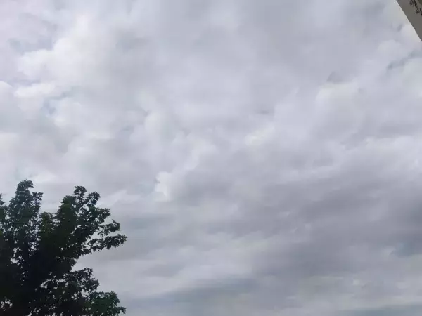 Ночную атаку БПЛА отразили в шести районах Ростовской области Ночную атаку БПЛА отразили в шести районах Ростовской области