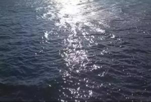 Над Азовским морем за ночь сбили семь беспилотников