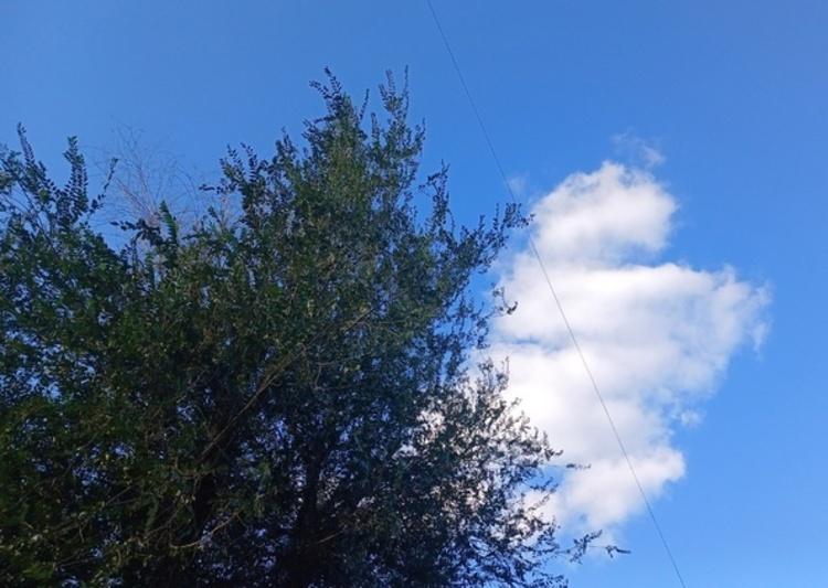 В четырех районах Ростовской области отразили атаку дронов