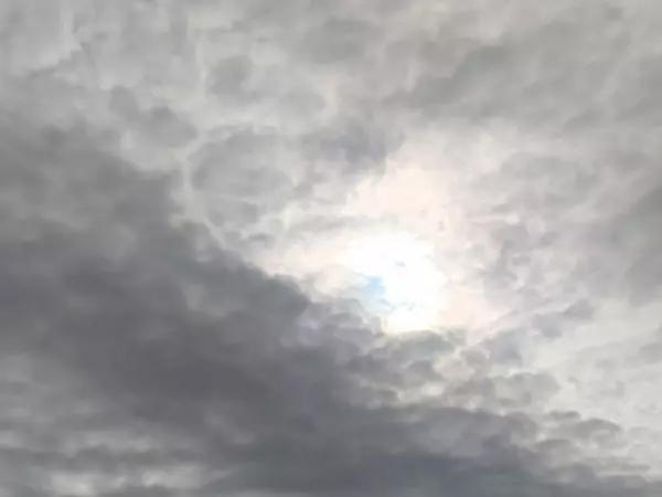 Три дрона перехватили над Ростовской областью