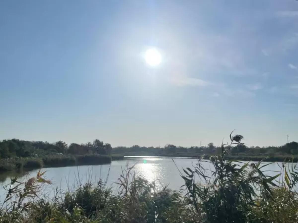 Азов может уйти под воду в 2100 году