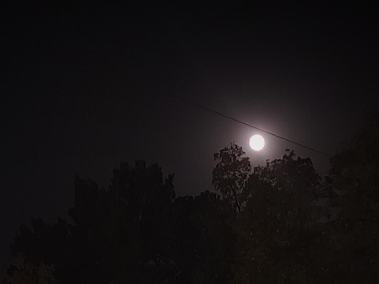 За ночь 23 октября Ростовскую область атаковали более десятка беспилотников