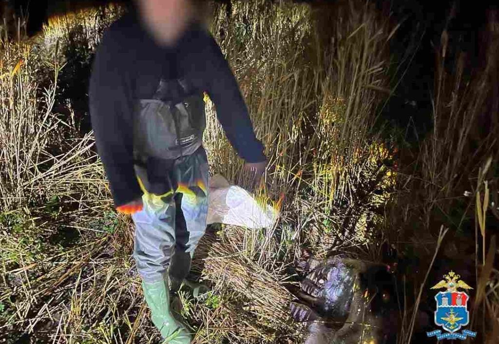 Житель Азовского района незаконно ловил стерлядь и серебристых карасей в реке Дон