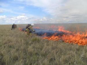 Чрезвычайная пожароопасность ожидается в Азовском районе 2 октября