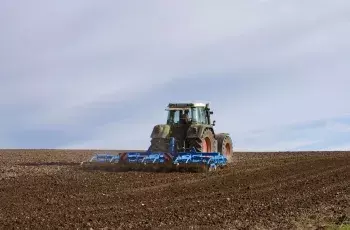 В Азовском районе озимыми засеяли 97 тысяч гектаров