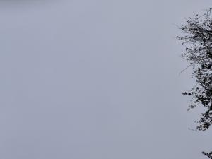 На короткой рабочей неделе в Азове прогнозируют пасмурную погоду