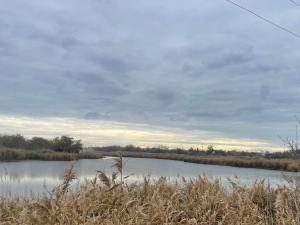 В водоемах Ростовской области с 15 ноября вводятся сезонные ограничения на вылов рыбы