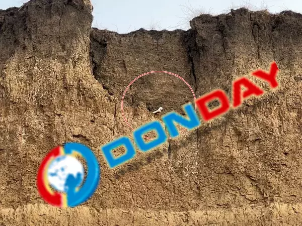 Останки с заброшенного кладбища смываются в Таганрогский залив