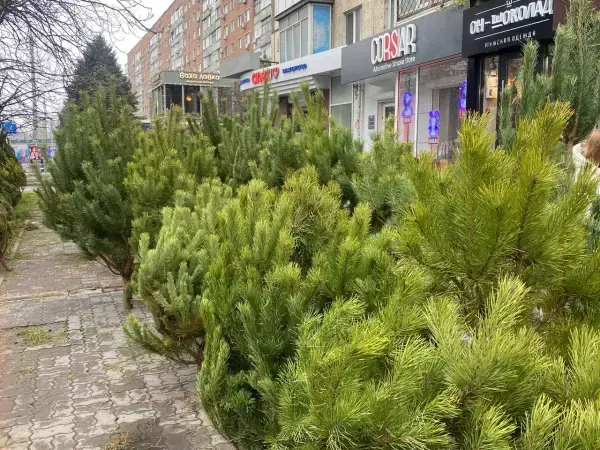 В Азове откроют семь ёлочных базаров