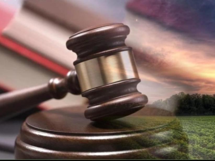 Многодетные семьи Азова четыре года не могут добиться дорог и газа для своих участков