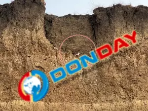 Останки с заброшенного кладбища смываются в Таганрогский залив