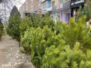 В Азове откроют семь ёлочных базаров