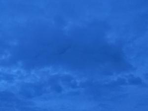 Четыре беспилотника уничтожили над Ростовской областью