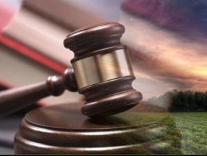 Многодетные семьи Азова четыре года не могут добиться дорог и газа для своих участков