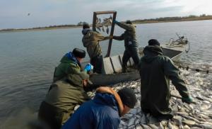 Река Дон остается ключевым промысловым водоемом Азовского бассейна